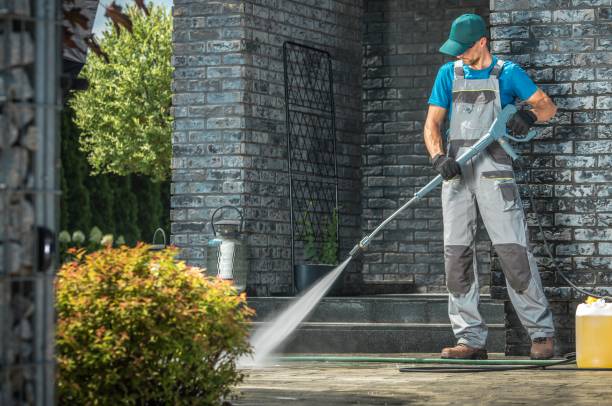 Best Roof Cleaning and Mildew Removal in Carmel, IN
